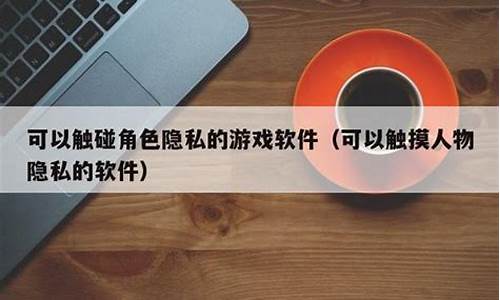 可以触碰人物隐私的游戏